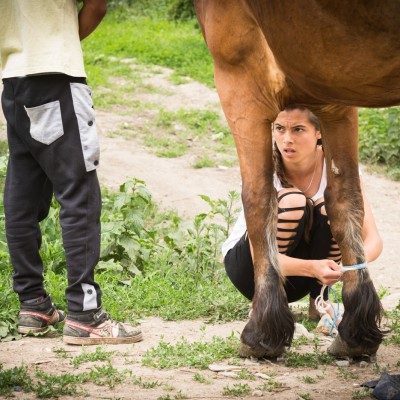 Isaac_Shaoul_Romania