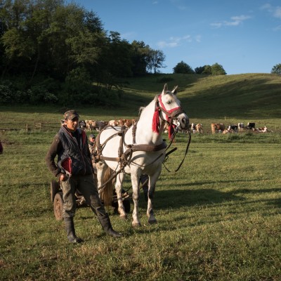 Isaac_Shaoul_Romania_Biertan_7_May_22_2018-95-31